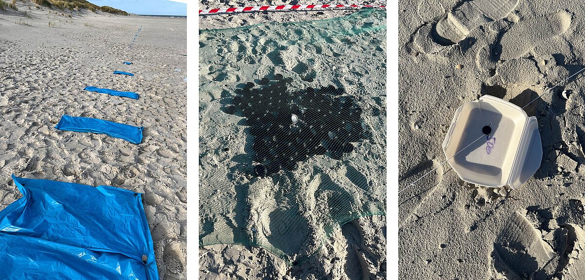 Die drei Bilder zeigen jeweils eine Art von Plastik an einem Strand liegend.