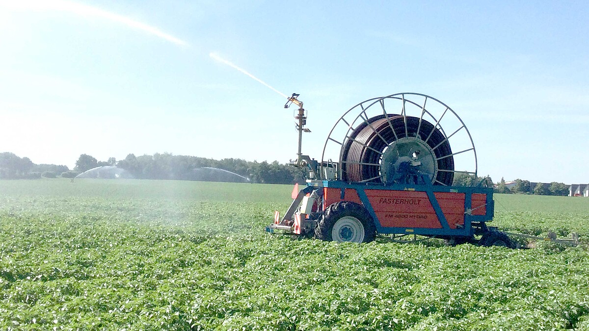 Aus einem Trommelregner wird Wasser auf einem Feld verspritzt.