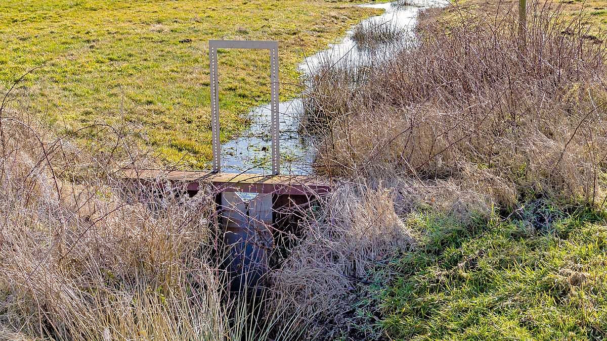 Ein Wehr hält das Wasser auf einer Moorfläche zurück.