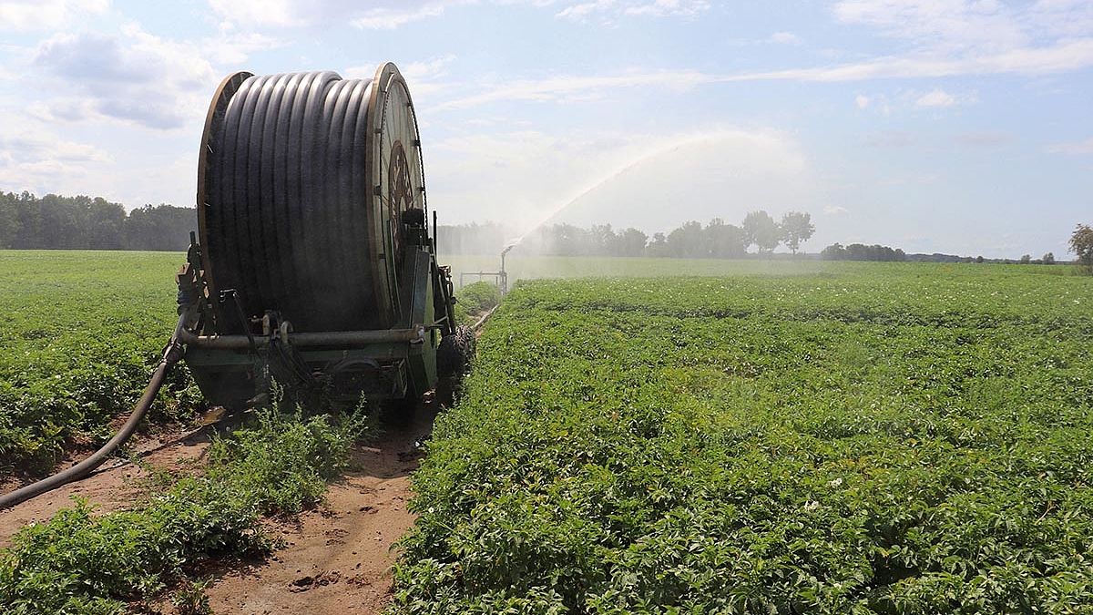 Eine Bewässerungsmaschine bewässert ein Feld.