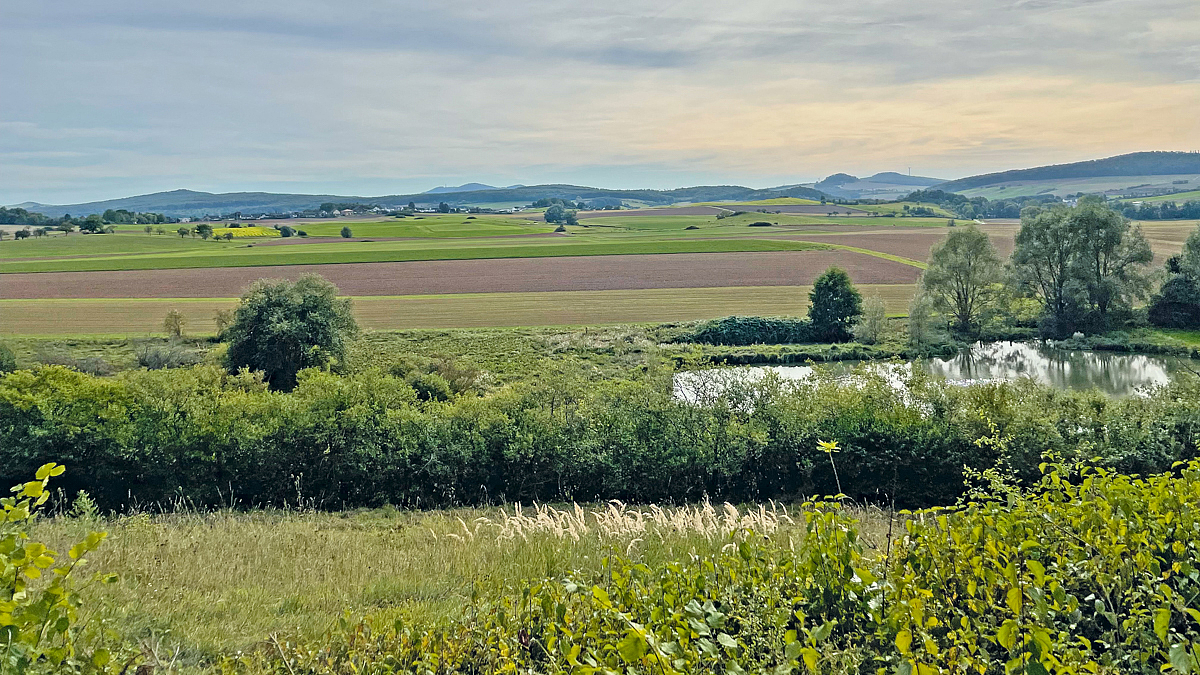 Landschaftsbild mit Strukturelementen, Wiesen, Wasser- und Agrarflächen