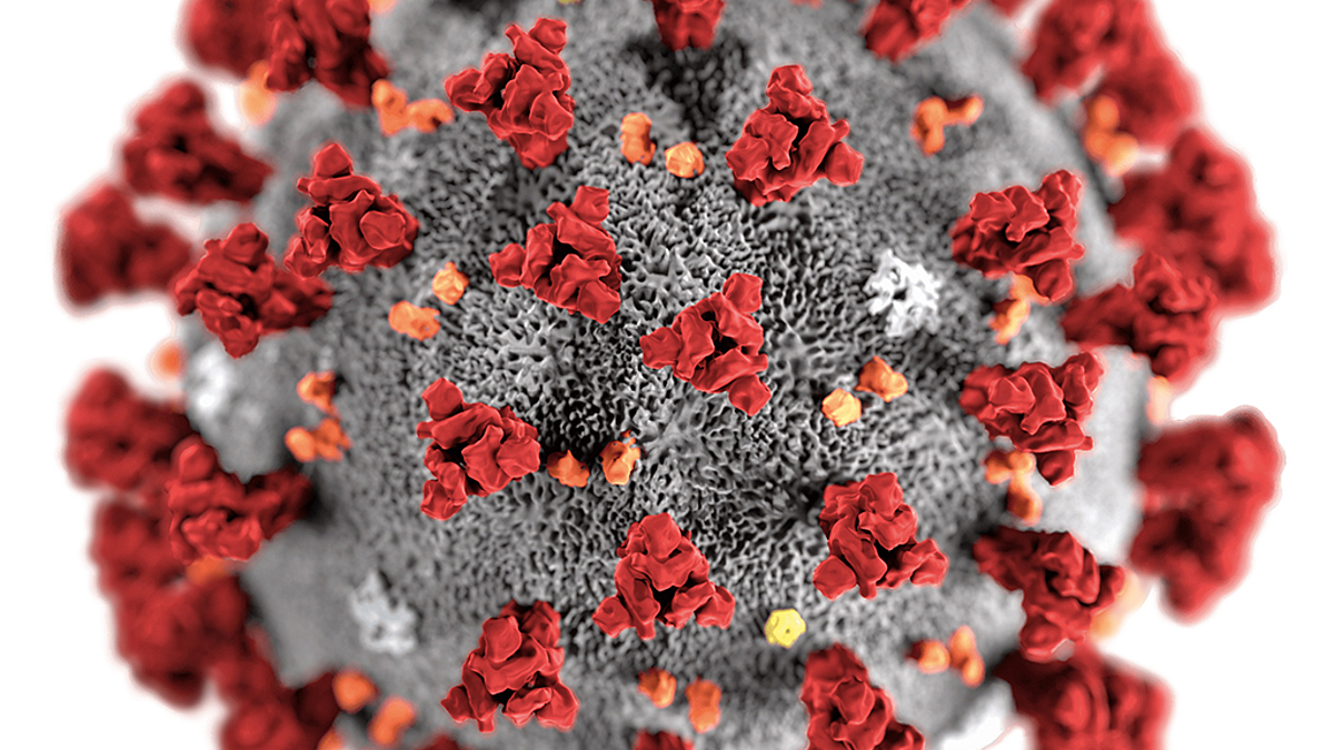 3D-Grafik des Corona-Virus mit rotgefärbten Spike-Proteinen. 
