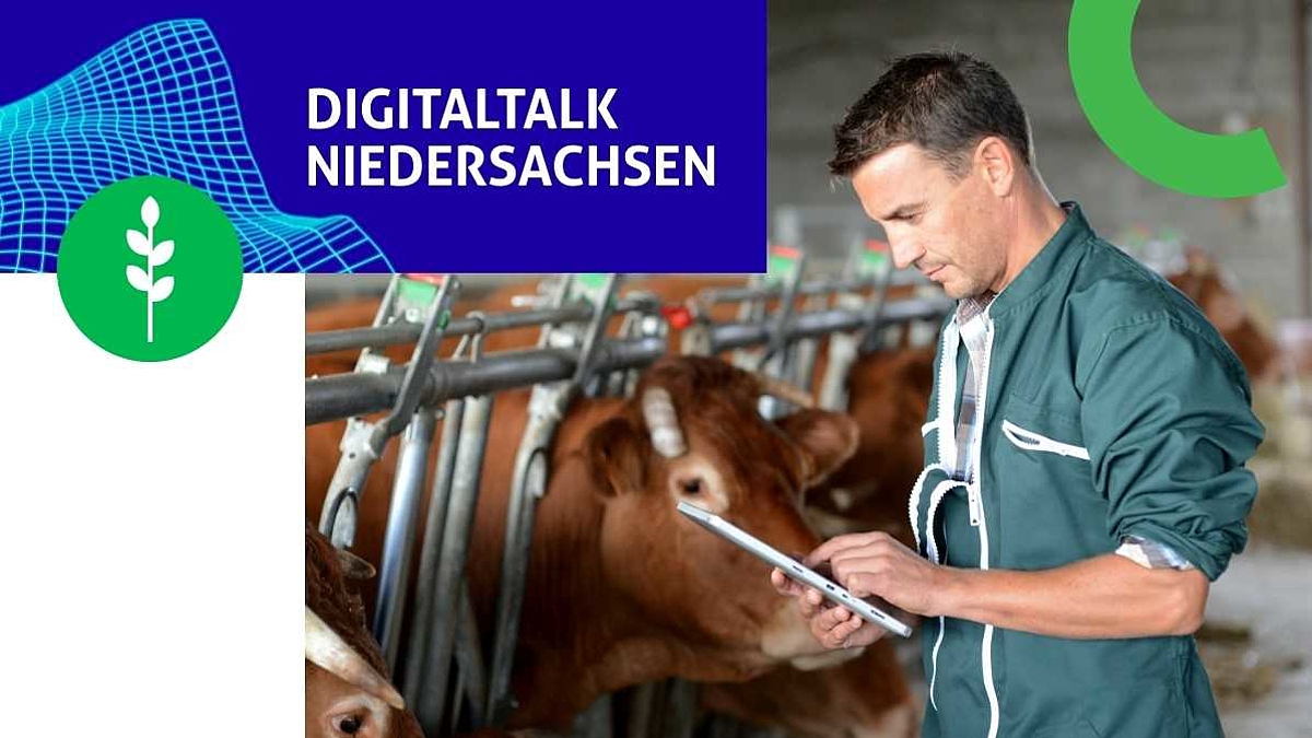 Ein Landwirt arbeitet im Kuhstall mit einem Tablet.