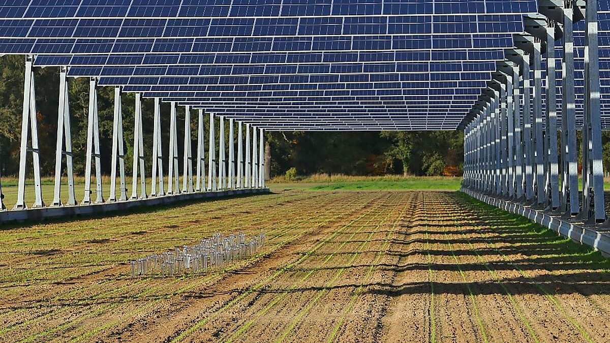 Solarpaneele auf hohen Ständern in Reihe werfen teilweise Schatten auf einen Ackerstreifen. Auf einer kleinen Fläche stehen Regensensoren.