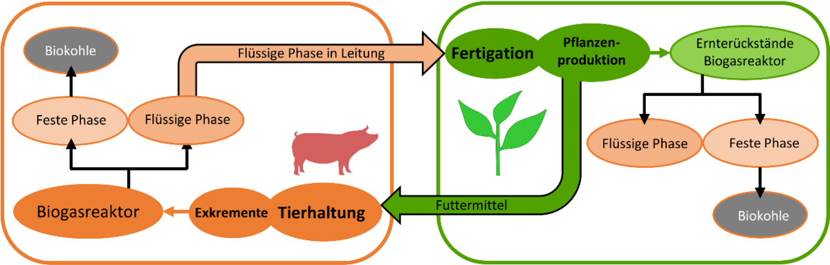 Schematische Darstellung der Nährstoffflüsse zwischen intensiver Tier- und Pflanzenproduktion
