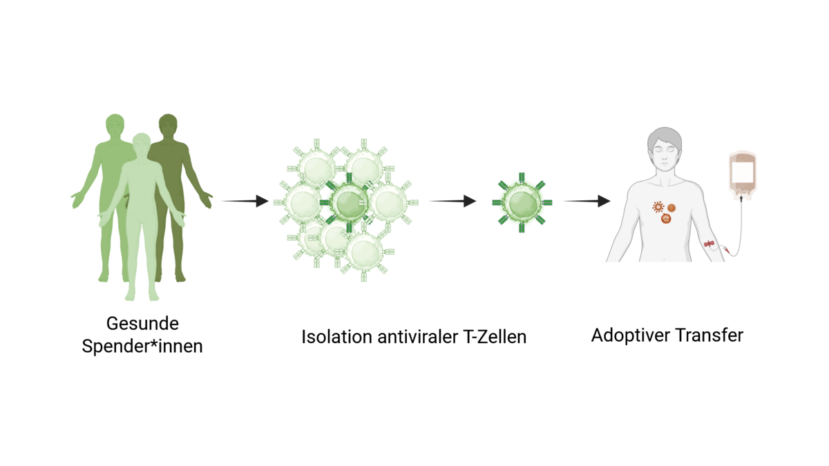 In der Grafik führen Pfeile von gesunden Menschen über Immunzellen zu einer T-Zelle und einem Patienten mit Infusionsbeutel.