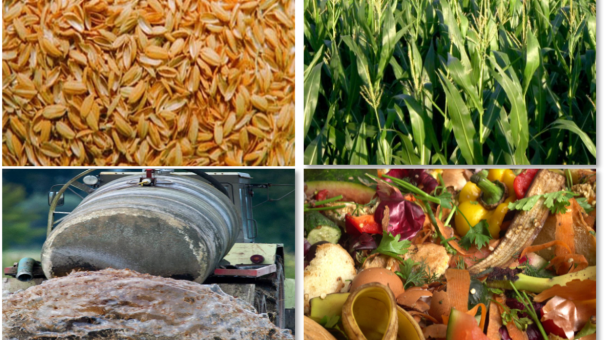 Das Bild zeigt Getreidespelzen, Maispflanzen, Gülle, Lebensmittelreste.