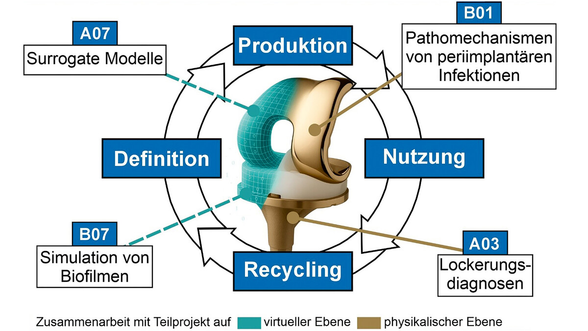 Die Infografik bildet eine Knieendoprothese halb fotorealistisch, halb als gitterartiges Digitalmodell ab. Um das Implantat verläuft ein Kreislauf aus Definition, Produktion, Nutzung und Recycling. Zusätzlich verweisen Balken auf die Zusammenarbeit mit den Teilprojekten Surrogate Modelle, Simulation von Biofilmen, Pathomechanismen von periimplantären Infektionen und Lockerungsdiagnosen auf virtueller und physischer Ebene.