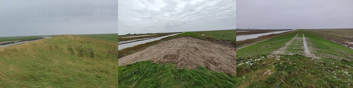 Ein Deichabschnitt ist mal mit langen Gräsern, mal ohne Bewuchs und mal mit kurzem Gras zu sehen.