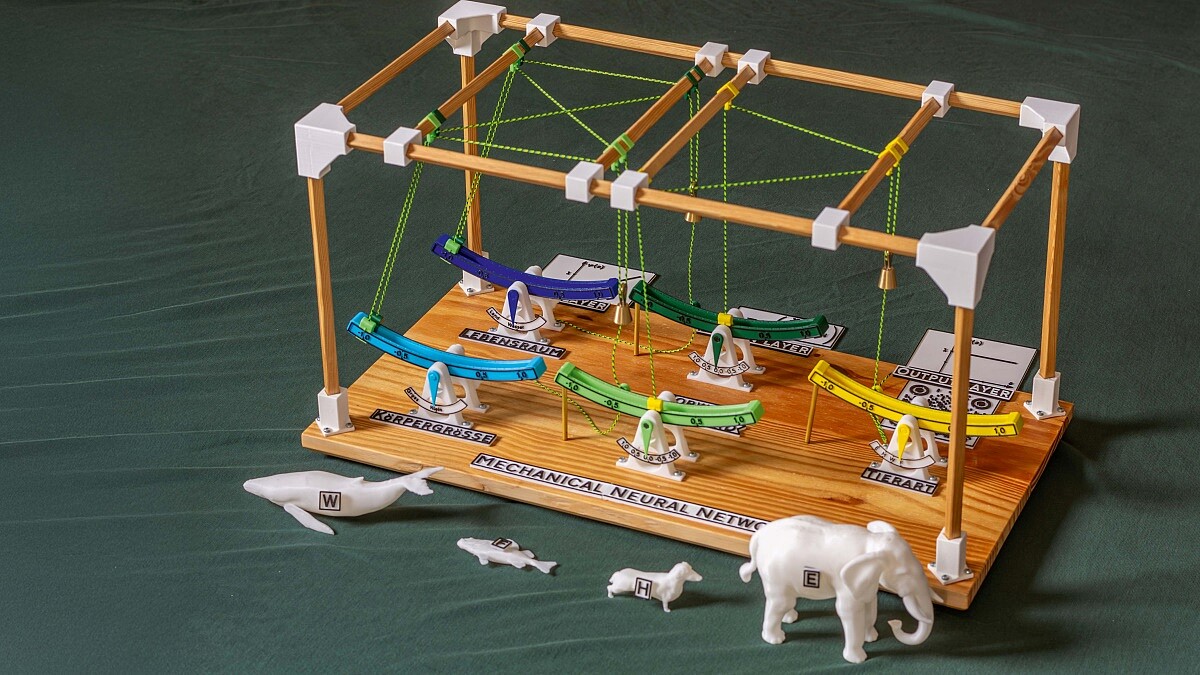 Das mechanische neuronale Netzwerk besteht aus einem Holzgestell und verschieden farbigen Kunststoffhebeln. Einige Hebel sind mit Lebensraum, Körpergröße und Tierart beschriftet. Die Hebel sind durch Seile miteinander verbunden und fungieren als künstliche Neuronen. Davor befinden sich Tiermodelle von Wal, Hai, Dackel und Elefant.