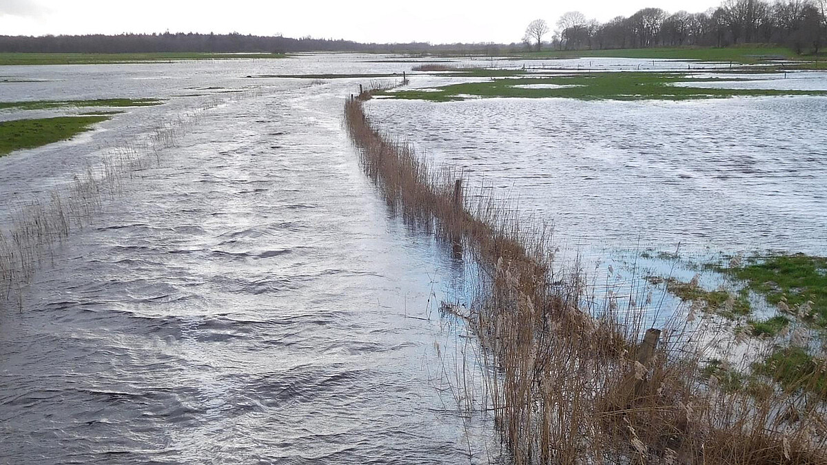 Grünland steht großflächig unter Wasser.