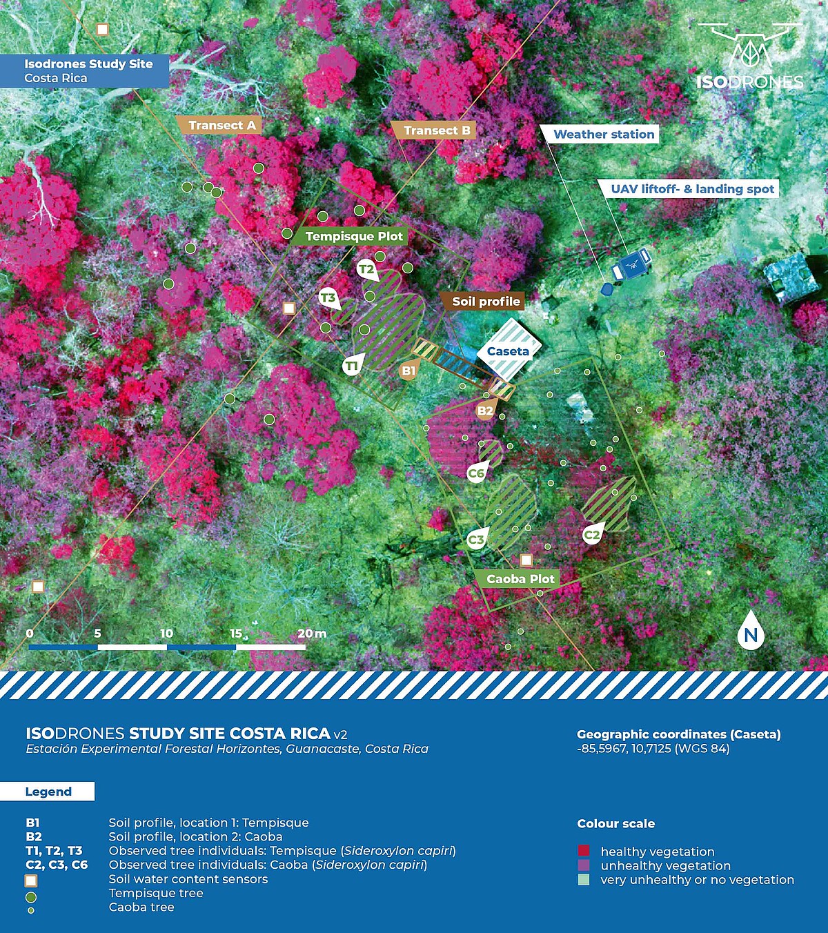 Das Luftbild eines Waldstücks ist in Messpunkte und Segmente eingeteilt und zeigt einzelne Baumkronen. Der Gesundheitszustand der Vegetation ist farbig markiert.