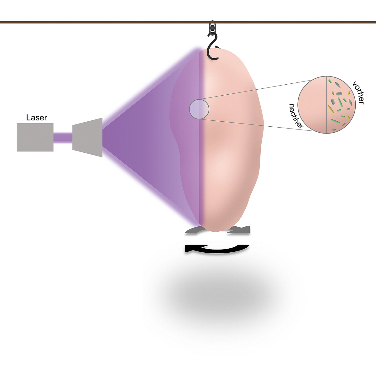  In der Grafik treffen Laserstrahlen auf ein Stück Hühnerfleisch, danach ist es von Bakterien befreit.