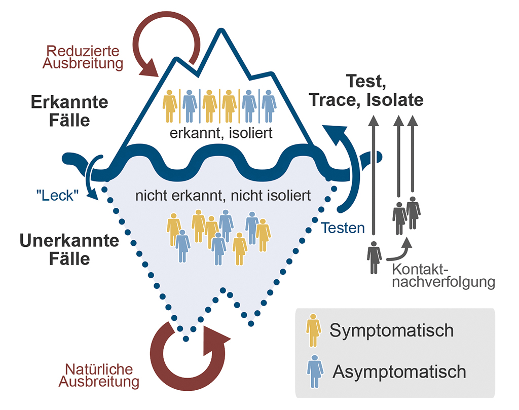 Die Grafik gibt die Anzahl erkannter und nicht-erkannter Corona-Fälle und deren Wechselwirkungen wieder.