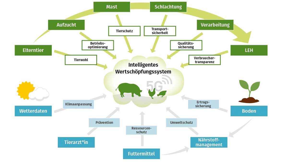 Die Grafik veranschaulicht die Vernetzung.