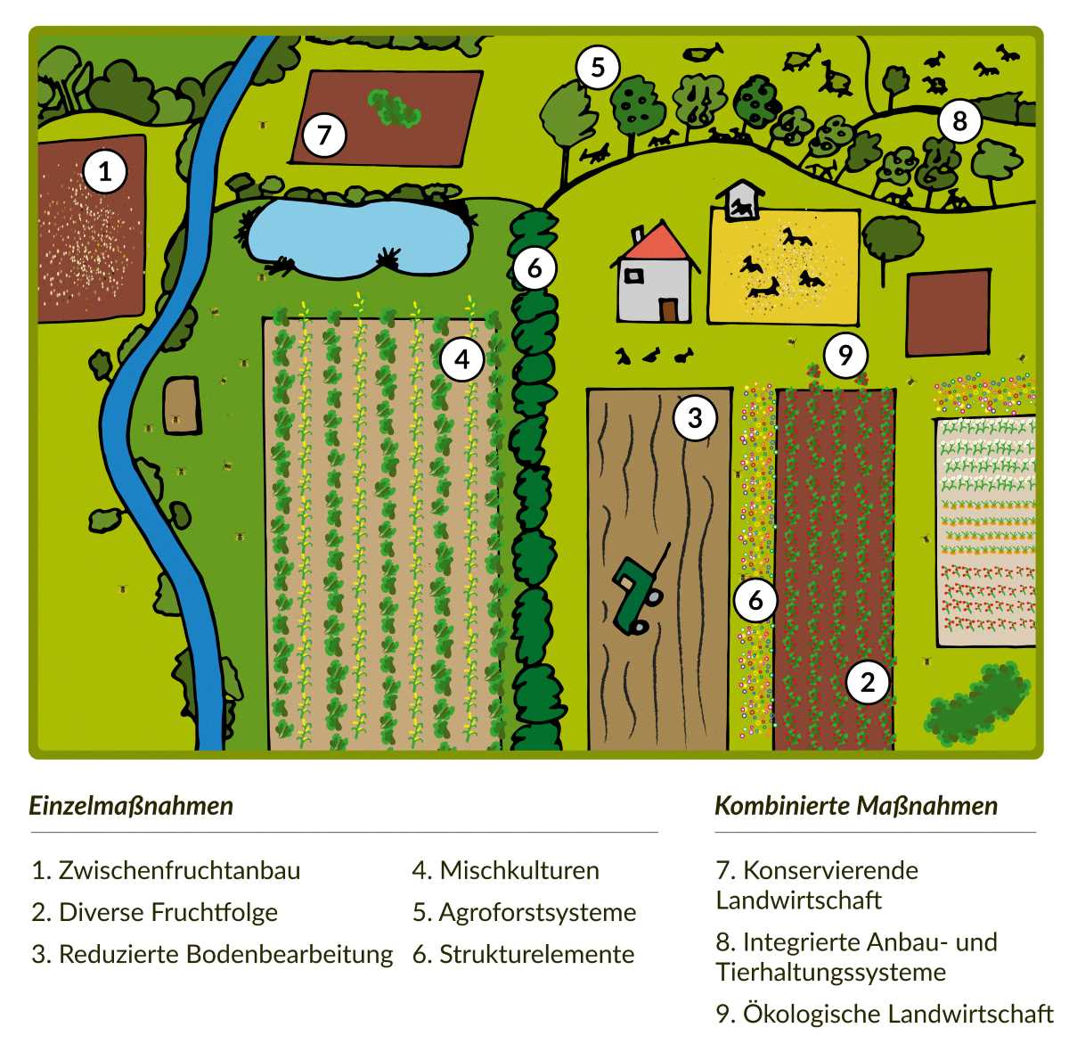 Schematische Illustration eines diversifizierten landwirtschaftlichen Systems