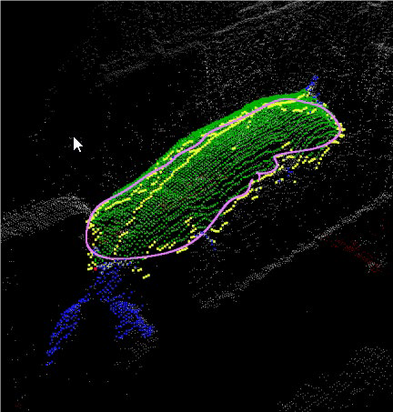 3D-Bild der Körperoberfläche eines Mastschweines