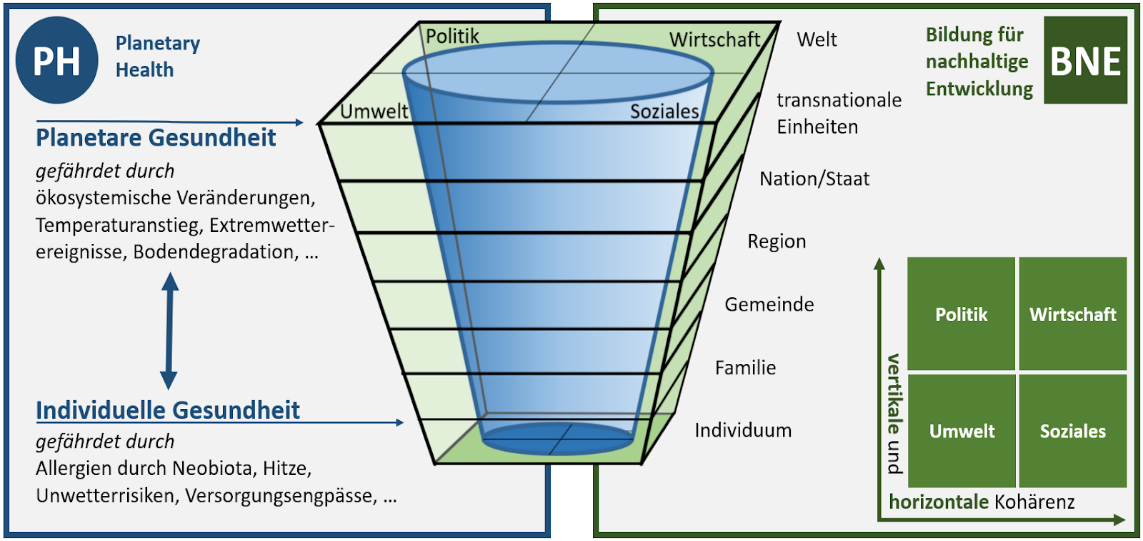 Die Grafik stellt einen Bezug zwischen Bildung, planetarer und individueller Gesundheit sowie den Wirkfeldern Politik, Wirtschaft, Umwelt und Soziales her.