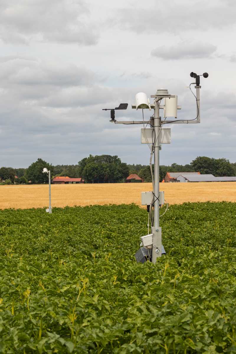 Auf einem Kartoffelfeld steht ein Mast mit Messinstrumenten.