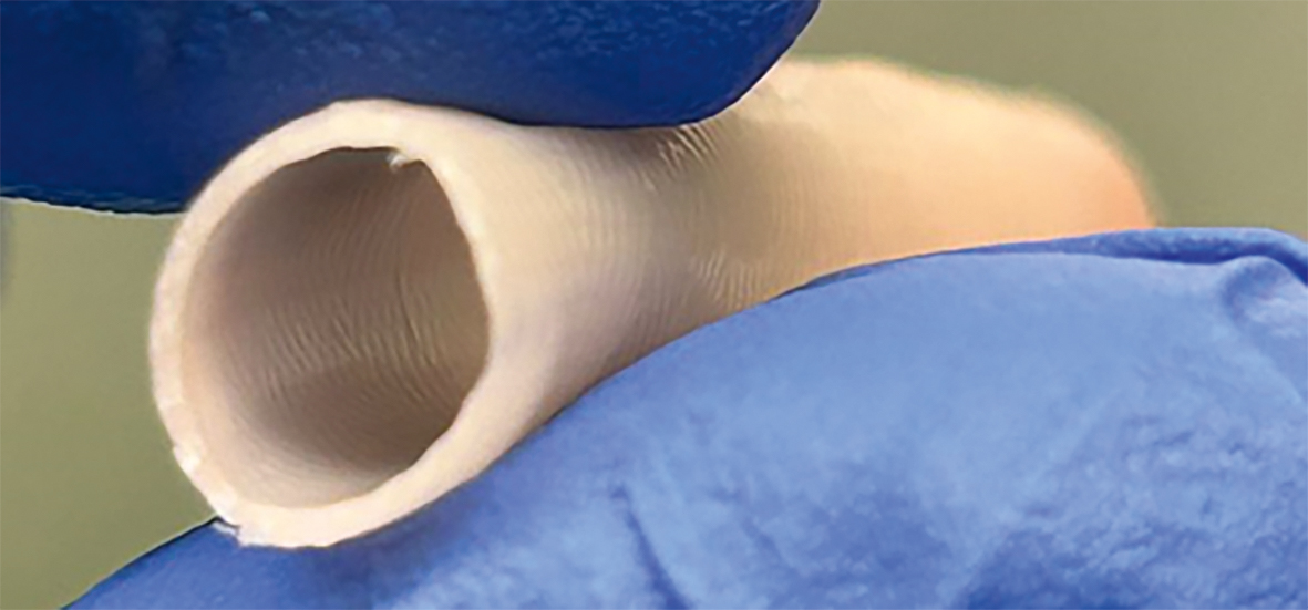 Zwei Finger in einem blauen Laborhandschuh halten ein weißes Röhrchen mit strukturierter Binnenstruktur. Die Finger drücken das Röhrchen leicht zusammen.